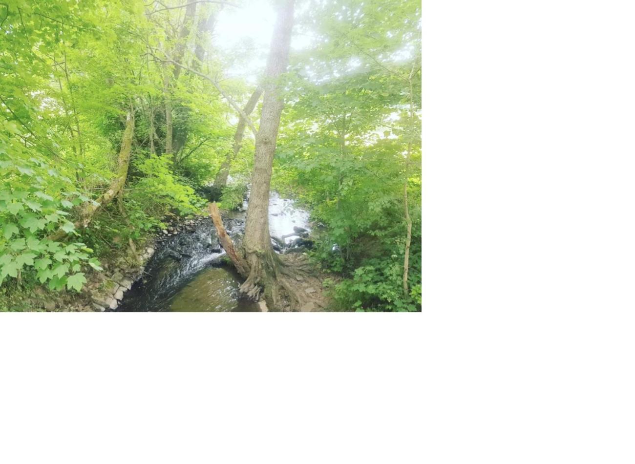 Aussergewoehnliche Auszeit - Metime1 Felsberg エクステリア 写真
