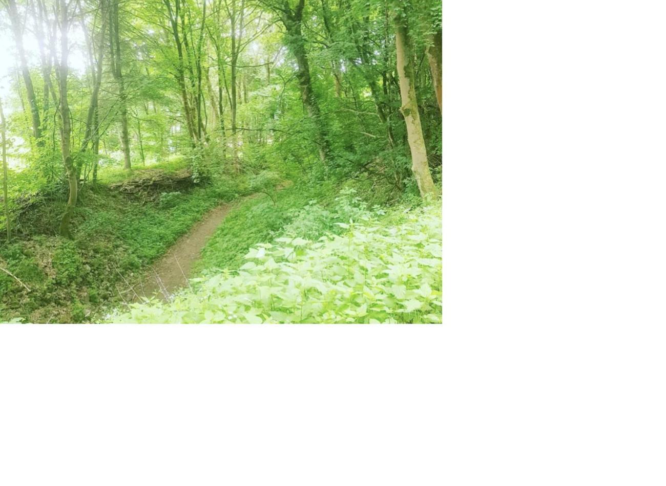 Aussergewoehnliche Auszeit - Metime1 Felsberg エクステリア 写真
